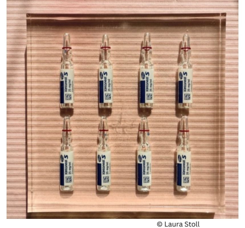 Bild von Laura Stoll